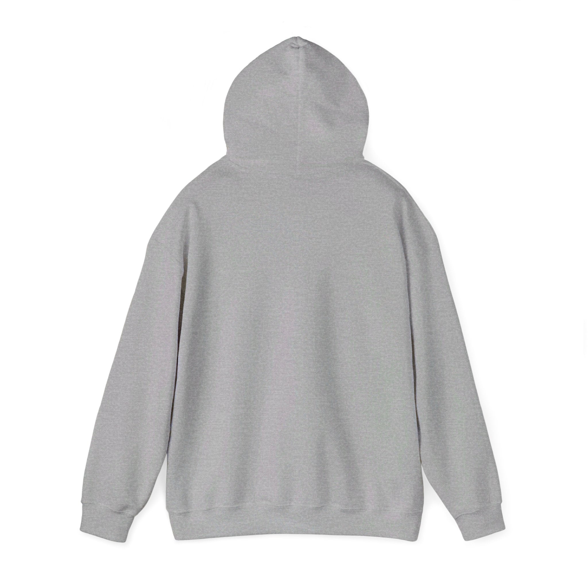 Unisex Heavy Blend™ Hooded Sweatshirt (In the Begining, God)
