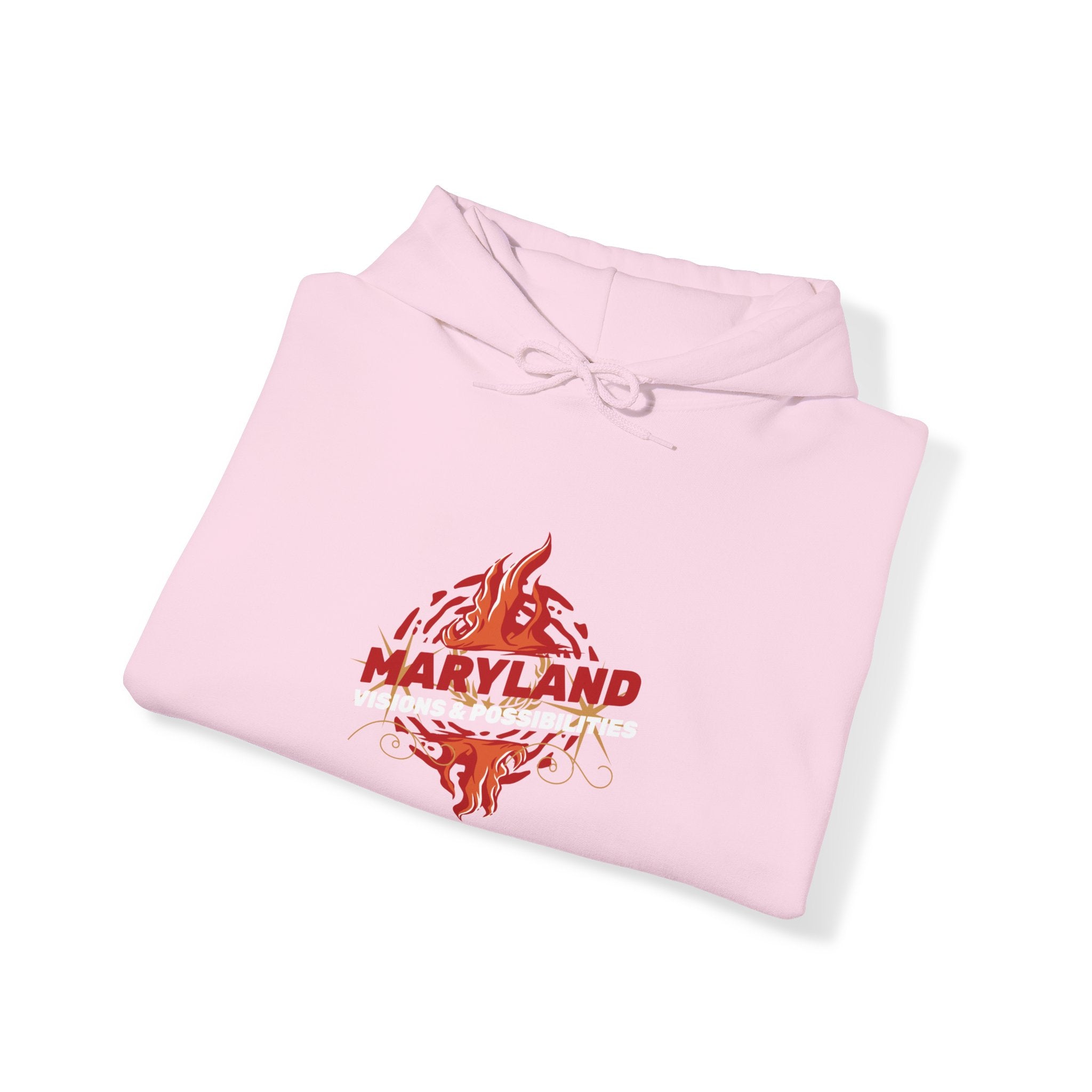 Maryland Unisex Heavy Blend™ Hooded Sweatshirt, Men and women Hoodie (Visions & Possibilities)