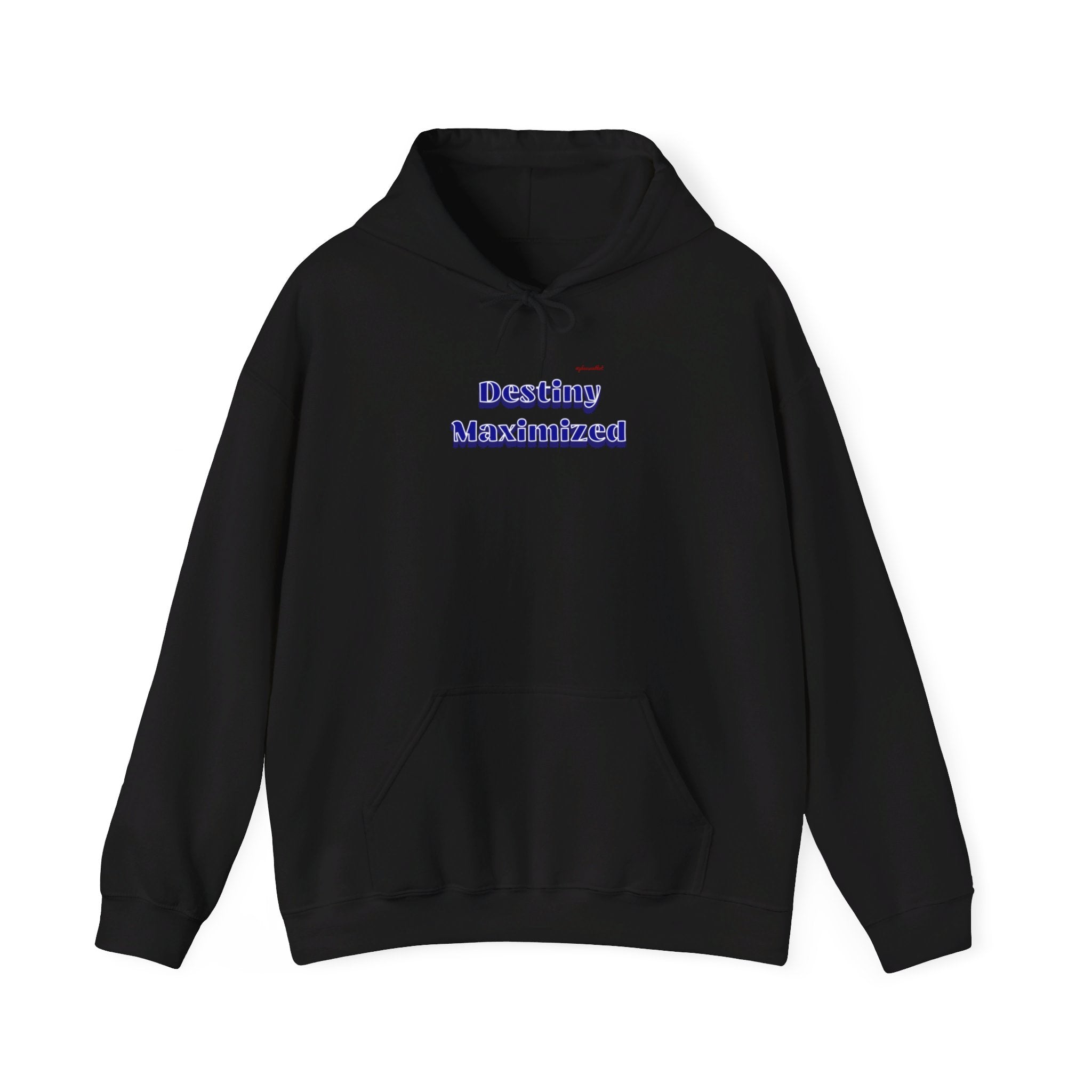 Unisex Heavy Blend™ Hooded Sweatshirt (Destiny Maximized Design)