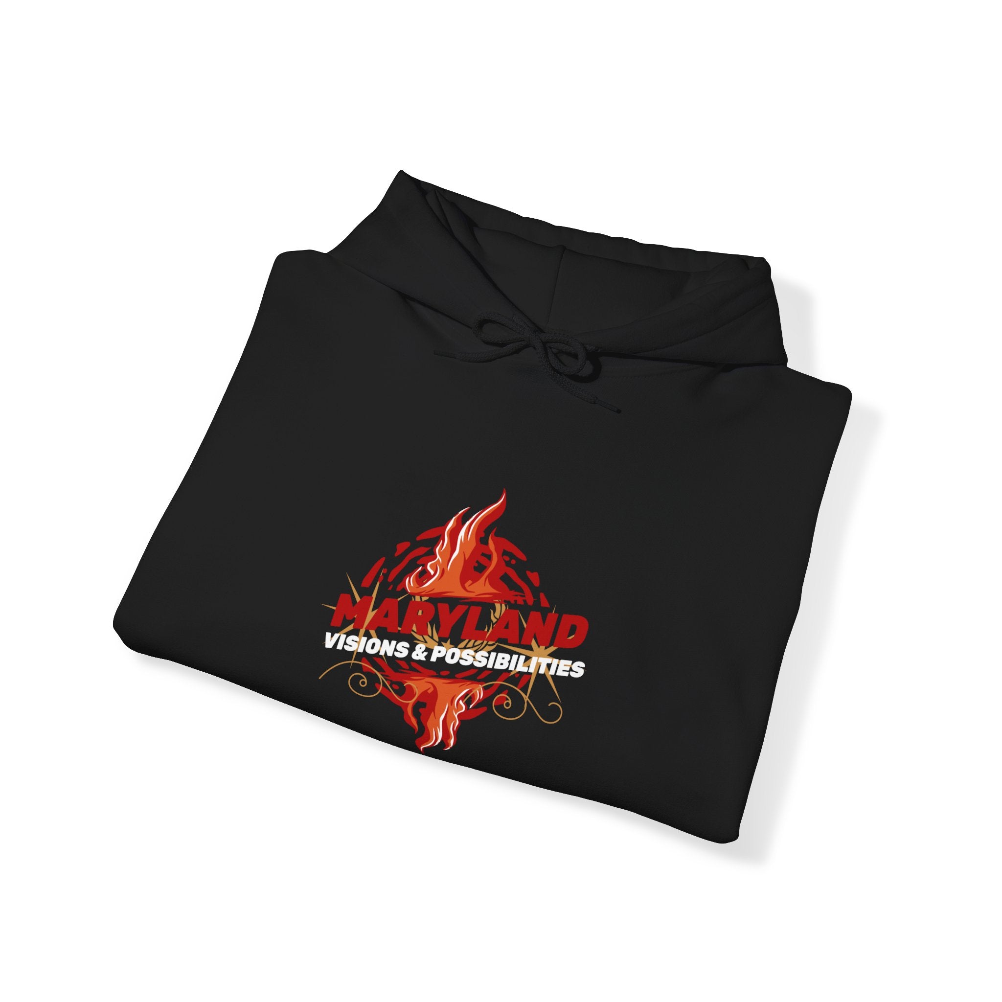 Maryland Unisex Heavy Blend™ Hooded Sweatshirt, Men and women Hoodie (Visions & Possibilities)