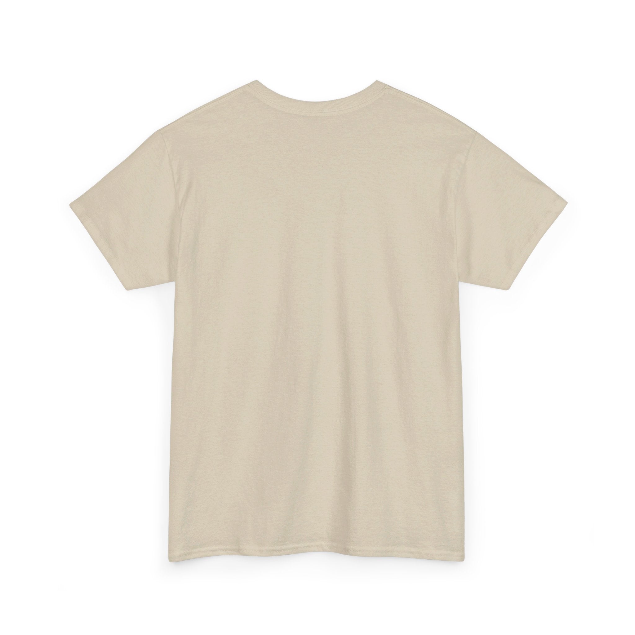 Good Art Design Unisex Heavy Cotton Tee Shirt, Fast Beats Dictates Fast Dance Steps