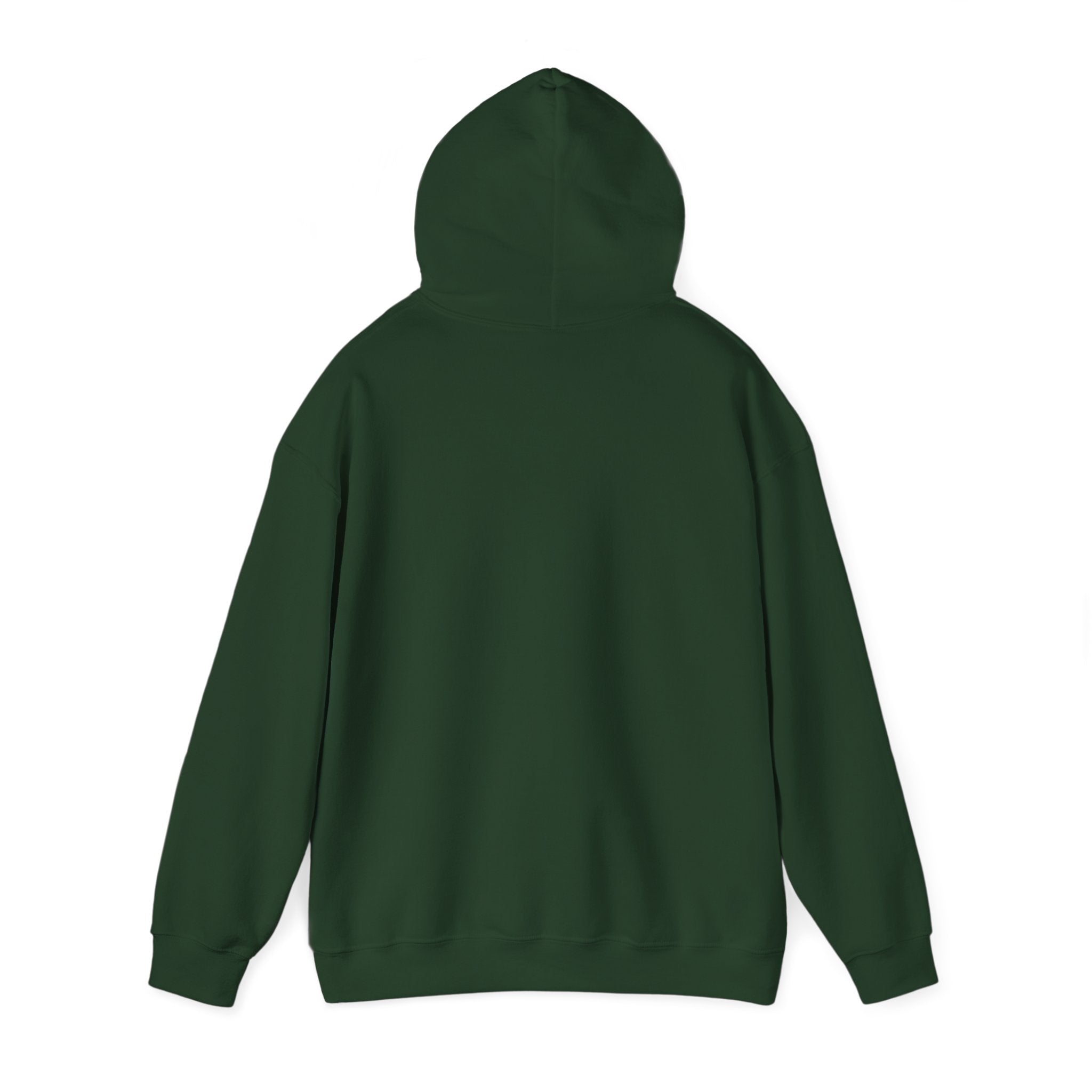 Maryland Unisex Heavy Blend™ Hooded Sweatshirt, Men and women Hoodie (Visions & Possibilities)